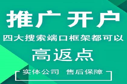SEM服务案例：打造行业领先品牌