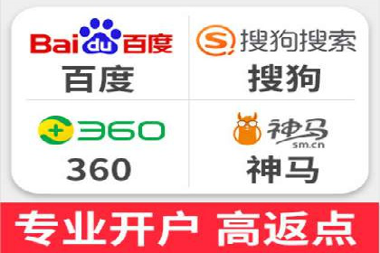 专业SEM服务公司案例分析报告